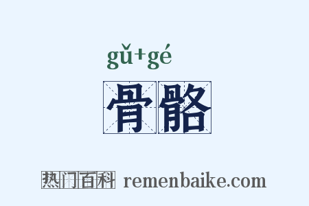 骨骼是什么意思的图片